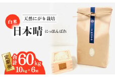 【定期便】 日本晴 白米 10kg×6回 6ヶ月連続【先行予約】 天然にがり栽培 にっぽんばれ 希少 品種 お寿司 ピラフ チャーハン【2025年9月以降発送】
