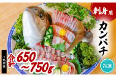 カンパチ 刺身用 約650ｇ～750ｇ かんぱち 勘八 小分け 養殖 冷凍