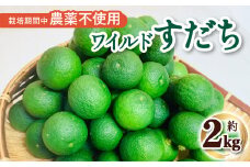 訳あり すだち 約2kg 数量限定 スダチ 酢橘 ワイルドすだち 徳島県産 栽培期間中農薬不使用