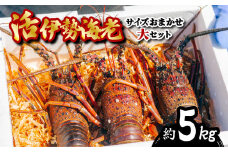 伊勢海老 活伊勢海老 約5kg サイズおまかせ 伊勢えび 伊勢エビ いせえび イセエビ 海老 えび エビ