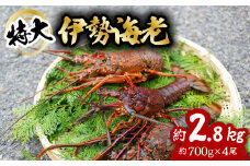 伊勢海老 特大 約2.8kg 約700g×4尾 伊勢えび 伊勢エビ いせえび イセエビ 海老 えび エビ 海鮮 海産物 海の幸 おせち 高級 国産 海鮮 ギフト
