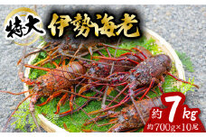 伊勢海老 特大 約7kg 約700g×10尾 伊勢えび 伊勢エビ いせえび イセエビ 海老 えび エビ 海鮮 海産物 海の幸 おせち 高級 国産 海鮮 ギフト