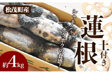 松茂町産　土付き蓮根 4kg