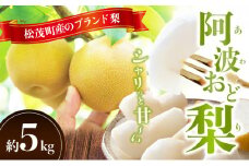 松茂町産　梨（阿波おど梨）5kg