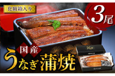 うなぎ蒲焼 3尾入