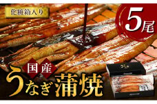 うなぎ蒲焼 5尾入
