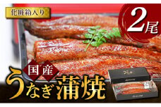 うなぎ蒲焼 2尾入