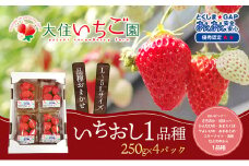 いちごのいちおし1品種4パック　250g×4パック　『とくしま安2（安全・安心）GAP農産物』優秀認定取得