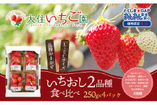 個性派いちご2品種食べ比べセット　250g×4パック　『とくしま安2（安全・安心）GAP農産物』優秀認定取得
