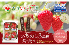 個性派いちご3品種食べ比べセット　250g×4パック　『とくしま安2（安全・安心）GAP農産物』優秀認定取得