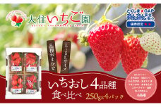 個性派いちご4品種食べ比べセット　250g×4パック　『とくしま安2（安全・安心）GAP農産物』優秀認定取得