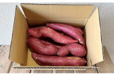 ふぞろいさつまいも鳴門金時 2kg 野菜 徳島県産