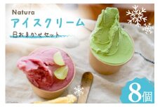 アイス ナチューラのアイスクリーム Bおまかせセット 8個入り  [ナチューラ 徳島県 北島町 29am0002] アイスクリーム スイーツ セット 詰め合わせ ジェラート