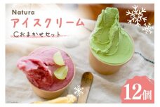 アイス ナチューラのアイスクリーム Cおまかせセット 12個入り [ナチューラ 徳島県 北島町 29am0003] アイスクリーム スイーツ セット 詰め合わせ ジェラート