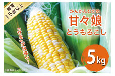 【期間限定発送】 とうもろこし （甘々娘） 5kg [夷谷大輔 徳島県 北島町 29at0001] トウモロコシ かんかんむすめ カンカン娘 かんかん娘