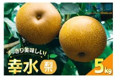 【期間限定発送】 梨 幸水 5kg [新果園 徳島県 北島町 29au0001] なし こうすい 徳島 北島 果物 フルーツ