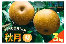 【期間限定発送】梨  秋月 3kg [新果園 徳島県 北島町 29au0004 ] なし あきづき 徳島 北島 果物 フルーツ