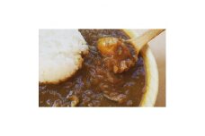 広島産・牡蠣カレー(1袋450g牡蠣5粒・約1.5人前×2袋)【1262639】