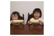 徳島県藍住町産　ホワイトコーン　5kg【1313128】