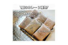 夏のカレー3種セット(完熟トマトのバターチキンカレー・グリーンカレー・夏野菜ガーリックチキンカレー)【1330176】