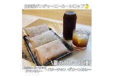～季節限定～自家製ジンジャエールシロップと夏のカレー3種セット。【1330014】