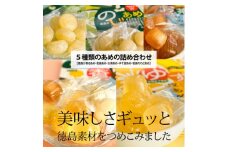 ＜徳島県のすだち/木頭ゆず/阿波晩茶使用＞徳島が香るあめ他5種の飴(あめ)詰め合わせ【1150789】