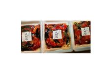 ＜合計1.5kg＞特選黒毛和牛と藍住町産野菜の大翔苑特製たれ漬け　500g×3袋【1376641】
