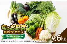 ＜旬のお野菜詰め合わせセット6kg＞濱くんちのお野菜から旬のお野菜が届くお楽しみBOX【1475189】