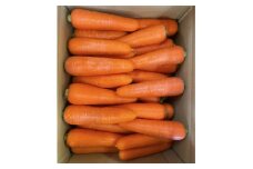 ＜藍住町産＞農家直送　柔らかくてあまーい『春にんじん』10kg【1485394】