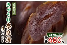 くせになる甘味食感 きゅうり奈良漬4個セット【1488230】