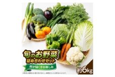＜発送月固定定期便＞〈春・秋・冬〉旬のお野菜詰め合わせセット6kg全3回【4059808】