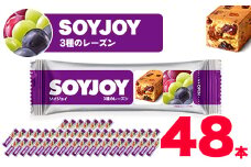SOYJOY　ソイジョイ　3種のレーズン　48本【1245550】