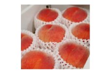 ＜2023年度先行受付＞徳島の桃　happeach 糖度12度以上(常温発送)【1387703】