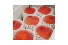 ＜2024年度先行受付＞徳島の桃　happeach　糖度13度以上　2kg(7個入り)【1484960】