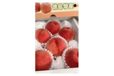 ＜2024年度先行受付＞日ノ本園の桃　happeach　糖度13度以上　2kg(6個入り)【1484962】