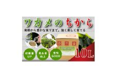 ワカメのちから　10L箱【1495820】