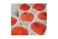 ＜2025年度先行受付＞徳島の桃　happeach　糖度13度以上　2kg(7個入り)【1612305】