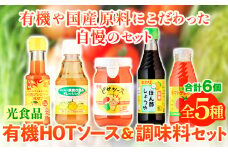 有機HOTソース+調味料セット 5種セット 計6個 光食品株式会社《30日以内出荷予定(土日祝除く)》徳島県 上板町 ケチャップ ピザソース ドレッシング ポン酢 しょうゆ ホットソース HOTソース st-p