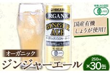 ジンジャーエール 250ml×30缶 光食品株式会社《30日以内出荷予定(土日祝除く)》徳島県 上板町 ジュース 炭酸水 光食品 ジンジャーエール オーガニック 有機 st-p