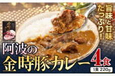 阿波の金時豚 カレー 4個 セット アグリガーデン 《30日以内に出荷予定(土日祝除く)》徳島県 上板町 豚肉 肉 ポークカレー カレー 送料無料 st-p