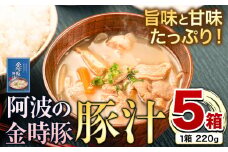 阿波の金時豚 豚汁 5個 セット アグリガーデン 《30日以内に出荷予定(土日祝除く)》徳島県 上板町 豚肉 肉 豚汁 汁物 送料無料 st-p