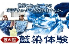 藍染体験チケット 一般社団法人ジャパンブルー上板《30日以内出荷予定(土日祝除く)》徳島県 上板町 藍染 藍染め 体験 技の館 予約 st-p