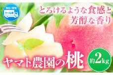 モモ 2kg ヤマト農園 《6月下旬‐7月下旬出荷》桃 もも 果物 フルーツ はなよめ 日川白鳳 あかつき グレートジャンボあかつき 清水白鳳 山根 ヤマト農園 徳島県 上板町 【配送不可地域あり】