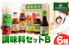 有機 調味料セット B 6種 光食品 株式会社 《30日以内出荷予定(土日祝除く)》無添加 調味料 バラエティーセット 中農ソース とんかつソース ケチャップ ドレッシング ノンオイル 無農薬栽培 徳島県 上板町 st-p