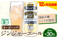 【12ヶ月定期便】 ジンジャーエール 250ml×30缶 光食品株式会社 定期 計12回お届け 《お申込み月の翌月から出荷開始》 徳島県 上板町 ジュース 炭酸水 光食品 ジンジャーエール オーガニック 有機 st-p