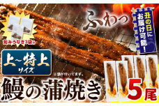 【 土用の丑の日予約受付中！ 】 うなぎ 丑の日配送 鰻の蒲焼 発送時期が選べる 5尾 ＋ きざみうなぎ 3袋 たれ・山椒のセット《7月上旬-7月中旬頃出荷》 鰻 鰻の蒲焼き 高級 蒲焼 国産 選べる 発送時期 土用の丑の日 ウナギ 刻みうなぎ 父の日 送料無料 徳島県 上板町
