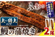 〈スピード出荷〉うなぎ 国産 鰻の蒲焼 2尾 上～特上サイズ 《3-7営業日以内に出荷(土日祝除く)》| うなぎ 蒲焼 国産 うなぎ 小分け うなぎ 国産 うなぎ 父の日 うなぎ 母の日ギフト うなぎ 簡易包装 送料無料 徳島県 上板町
