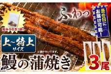 【 土用の丑の日予約受付中！ 】 うなぎ 国産 鰻の蒲焼 3尾 + きざみうなぎ 30g×1袋 上～特上サイズ 《7月上旬-7月中旬頃出荷》| うなぎ 蒲焼 国産 うなぎ 小分け うなぎ 国産 うなぎ 父の日 うなぎ 母の日ギフト うなぎ 簡易包装 送料無料 徳島県 上板町