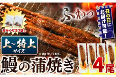 【 土用の丑の日予約受付中！ 】うなぎ 国産 鰻の蒲焼 4尾 + きざみうなぎ 30g×2袋 上～特上サイズ《7月上旬-7月中旬頃出荷》| うなぎ 蒲焼 国産 うなぎ 小分け うなぎ 国産 うなぎ 父の日 うなぎ 母の日ギフト うなぎ 簡易包装 送料無料 徳島県 上板町