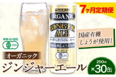 【7ヶ月定期便】 ジンジャーエール 250ml×30缶 光食品株式会社 定期 計7回お届け 《お申込み月の翌月から出荷開始》 徳島県 上板町 ジュース 炭酸水 光食品 ジンジャーエール オーガニック 有機 st-p